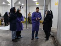 تعامل فعال با صنعت و حل چالش‌های تولید