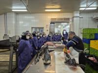 بازدید علمی و آموزشی از خط تولید شرکت الماس آدرین پارس